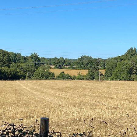 Spacious 1 Bed Home With Shared Pool Champagnac-la-Rivière エクステリア 写真