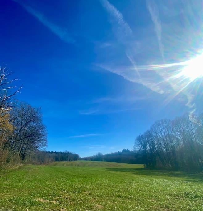 Spacious 1 Bed Home With Shared Pool Champagnac-la-Rivière エクステリア 写真