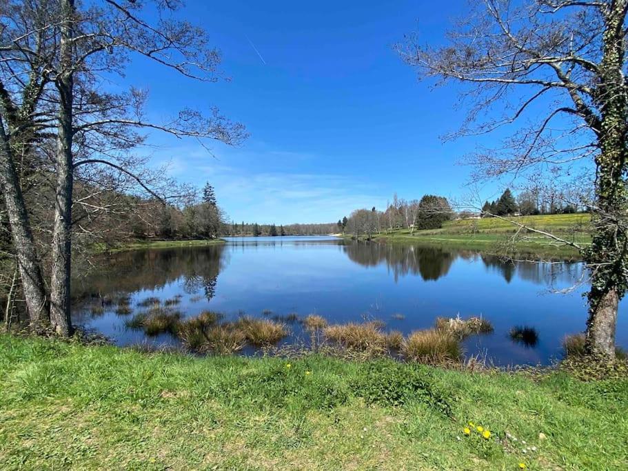 Spacious 1 Bed Home With Shared Pool Champagnac-la-Rivière エクステリア 写真