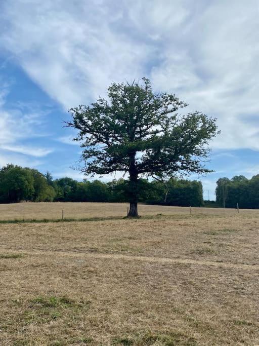 Spacious 1 Bed Home With Shared Pool Champagnac-la-Rivière エクステリア 写真