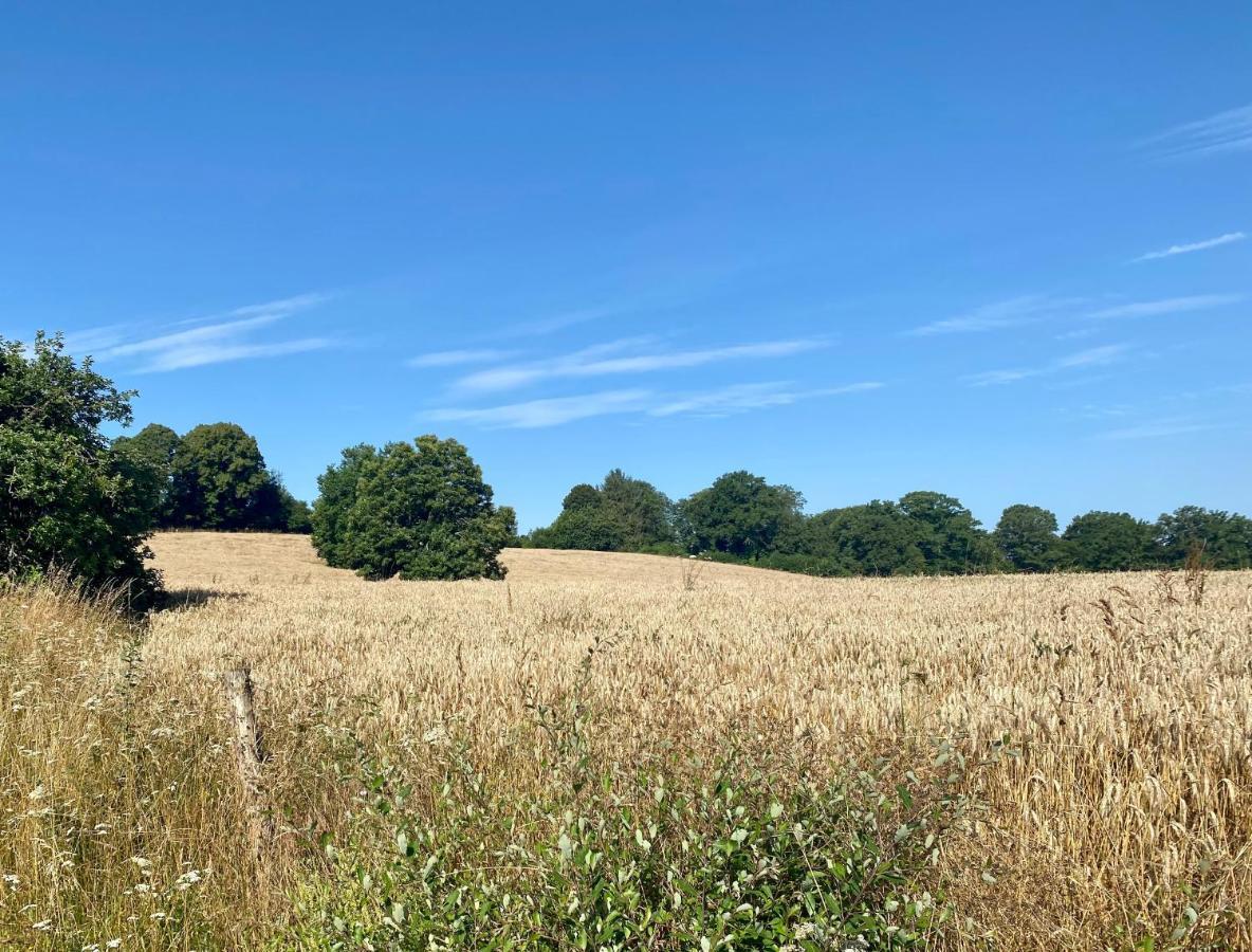 Spacious 1 Bed Home With Shared Pool Champagnac-la-Rivière エクステリア 写真