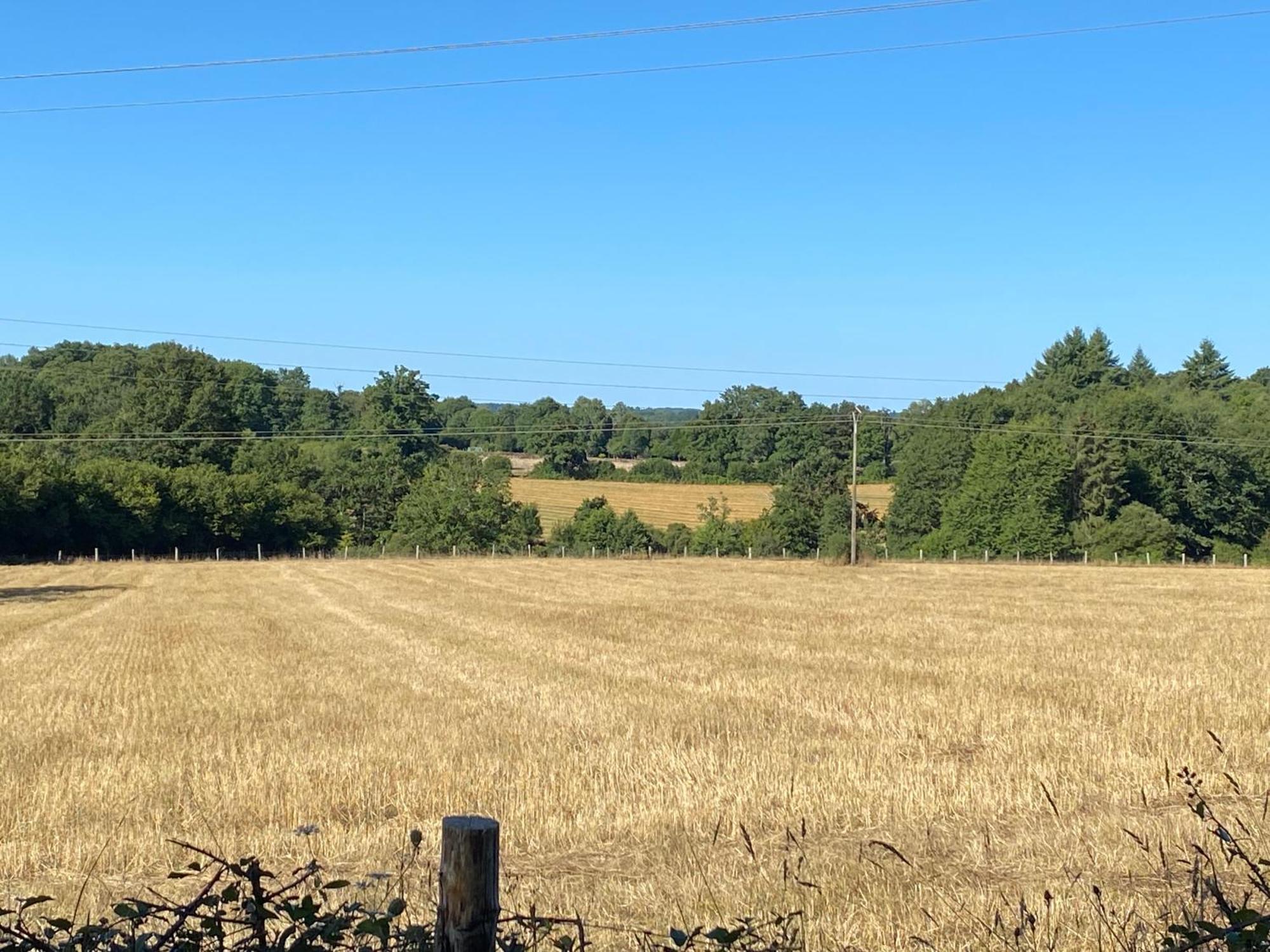 Spacious 1 Bed Home With Shared Pool Champagnac-la-Rivière エクステリア 写真